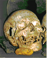 One of the Worlebury skulls