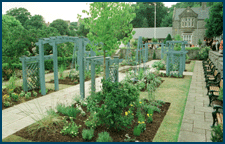 Finish Jill Dando Garden